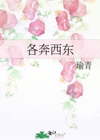 博主：对大轮换的东道主踢成这样简直耻辱，扬科维奇下课板上钉钉