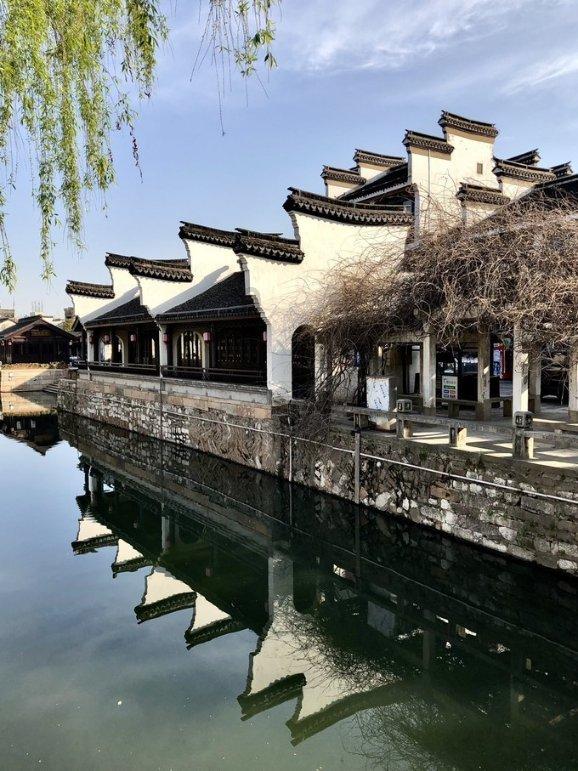 绿意盎然